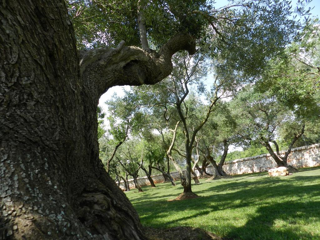 I Trulli Del Nonno Michele Pensionat Alberobello Eksteriør billede